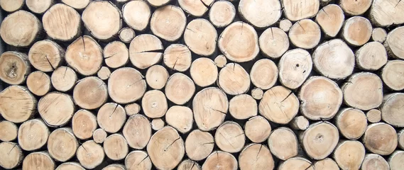 Foto op Plexiglas Hout behang hout logboek