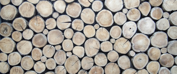 wallpaper wood log