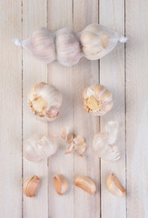 Garlic Still Life