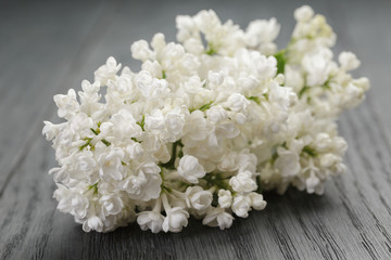 white lilac flower on old oak table