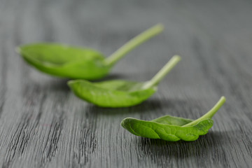 fresh spinach leaves on wood table