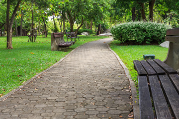 Seat in the public park