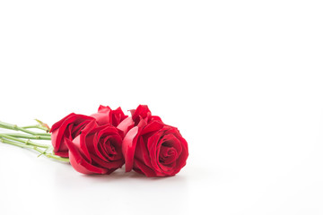 red rose isolated on white background