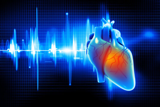 Digital illustration of Human heart