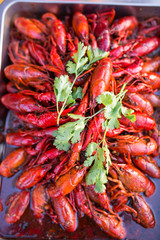 Crayfish