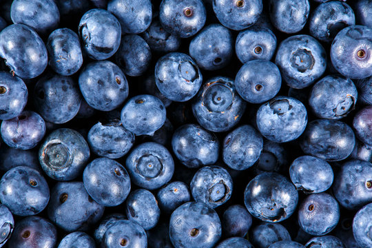 Clouse up Fresh Organic picked Blueberries. Rich with vitamins Background, texture