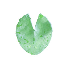 leaf. Isolated over white with clipping path