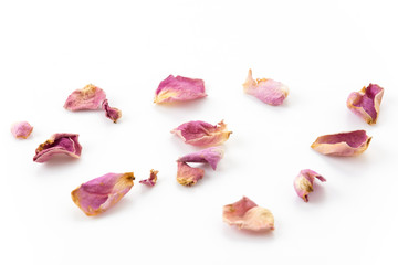 Obraz premium suchy różowo-biały płatek róży