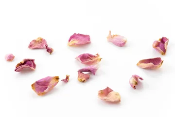 Photo sur Plexiglas Roses pétale de rose rose et blanc sec