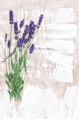Fototapeta premium Lavender flowers over rustic wooden background. Country style de