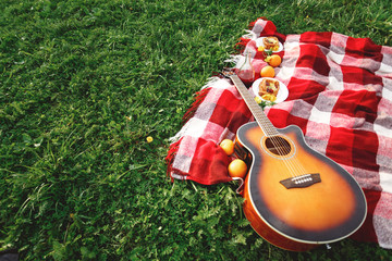 Picnic with Guitar Music on Grass - Powered by Adobe