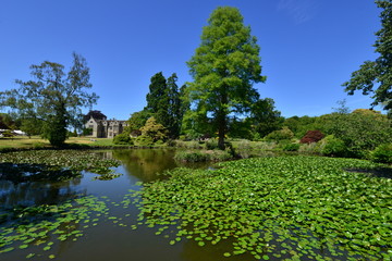  A lake/ pond at an English country estate in summer