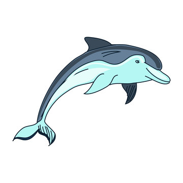 doodle dolphin