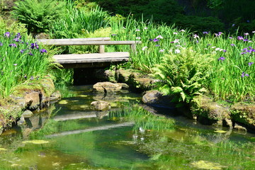 Obraz na płótnie Canvas A lake/ pond at an English country estate in summer