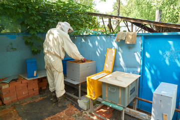 Beekeeper works