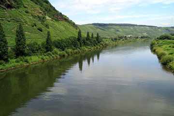 Fototapeta na wymiar Beautiful scenery along the River Moselle Germany