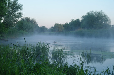 Morning landscape with fog on the river