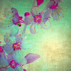 Vintage orchid on green background