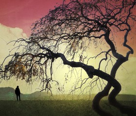Surreal landscape with small human figure and twisted branches