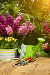 Gardening tools and planting  flower