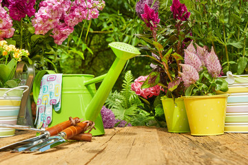 Gardening tools and planting  flower