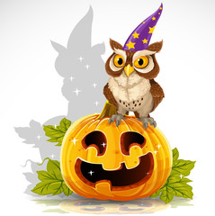 Fototapeta premium Wise magician owl sit on a pumpkin - Halloween symbol Jack