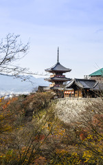 Naklejka premium Japan
