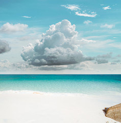 Tropical sky paradise