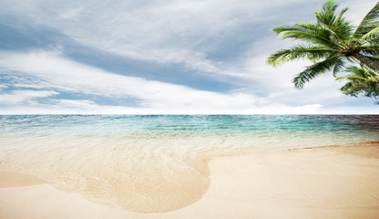 Fototapeta na wymiar Caribbean ocean and tropical beach