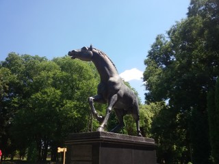 Iron horse sculpture in park