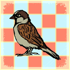 vintage background with sparrow