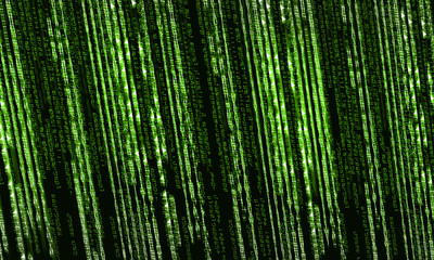 Fototapeta premium Safety concept