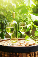 Naklejka premium Garden with white wine and bottles