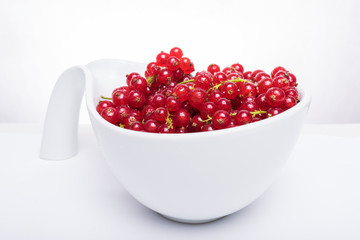 Bowl of fresh red currant