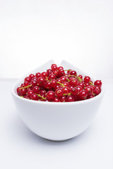 Bowl of fresh red currant