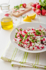 Radish Spring salad with herbs
