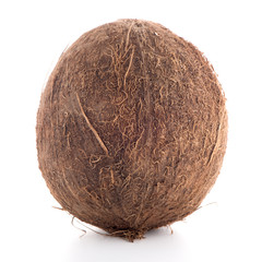 Coconut