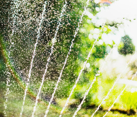 Water pour splashes and bokeh  from watering in summer garden with sprinkler - obrazy, fototapety, plakaty