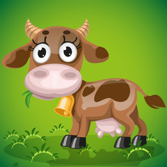 Cute baby cow chewing on a juicy grass