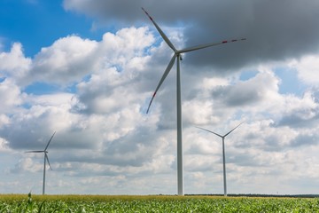 Windmills standing on corn field