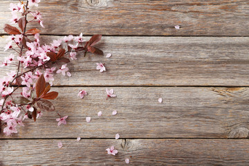 Spring flowering branch on grey wooden background