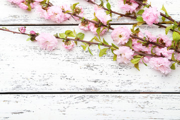 Spring flowering branch on white wooden background