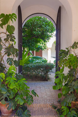 fresh courtyards with flowers and gate typical of homes in the c