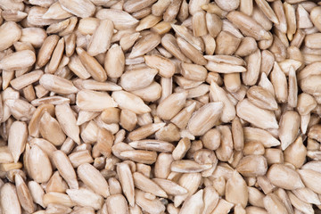 Sunflower seeds background.