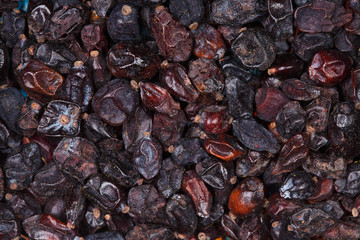 Black dry barberry close-up, texture.