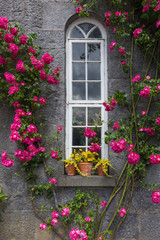 Fototapeta na wymiar お花と窓　 Classic window and flower