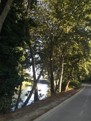 roma lungotevere