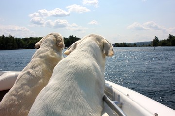 Boating with the Boys