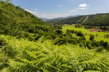 Foug&egrave;res et vall&eacute;e