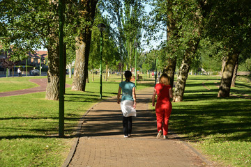 paseando entre las sombras de los arboles